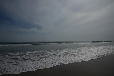 DSC_2244 (Large).JPG